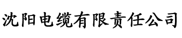 魔王的套路电缆厂logo